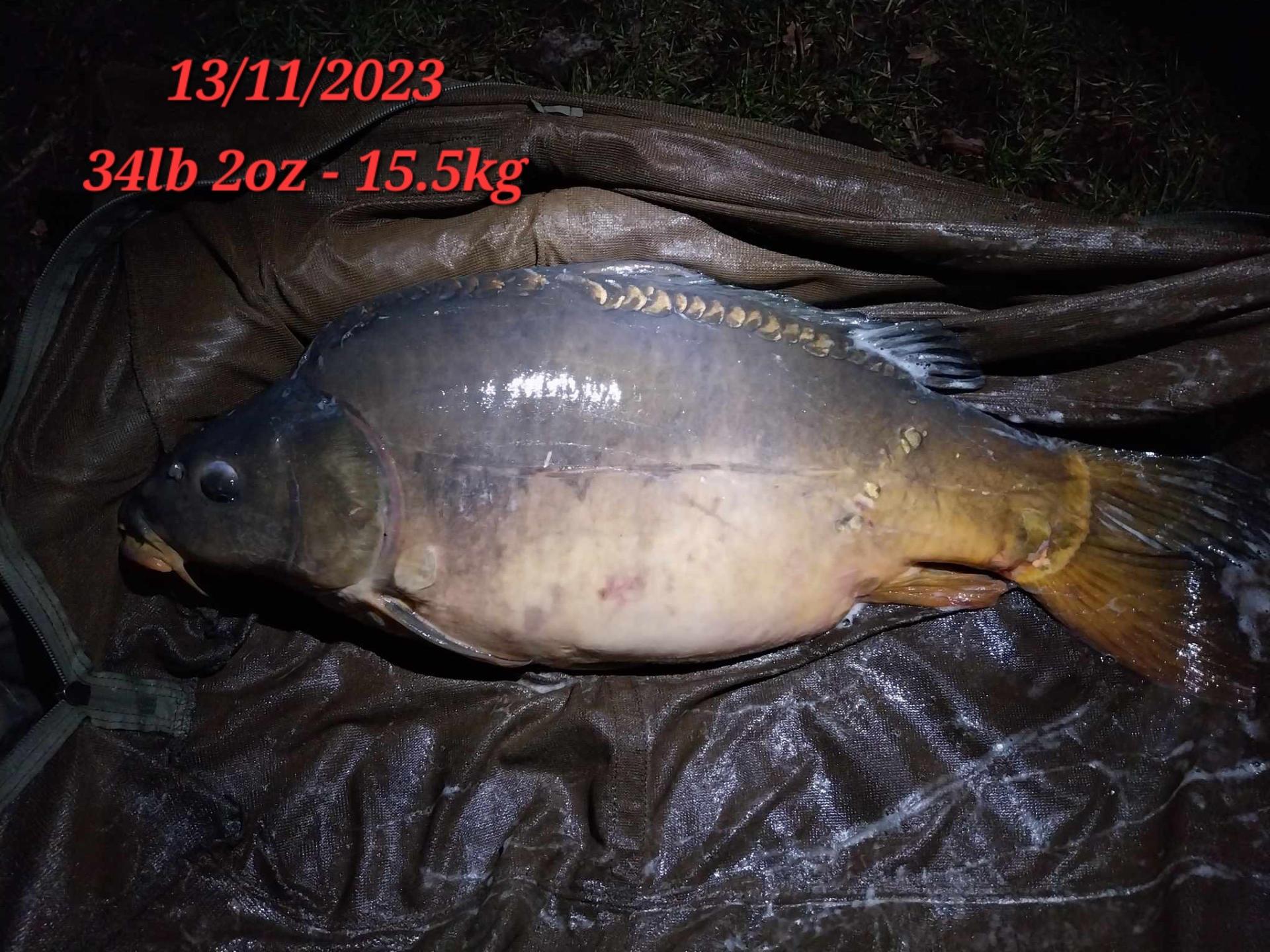 2023 november 34lb2oz 1