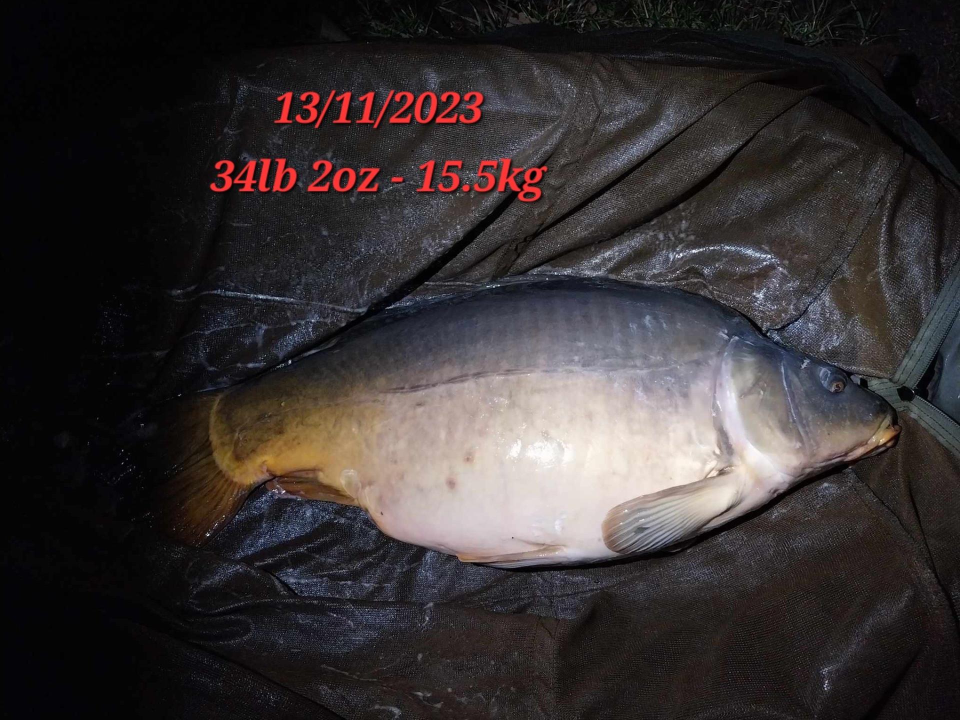 2023 november 34lb2oz 2